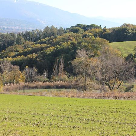Agriturismo La Ginestrella Civitella D'Arna Екстериор снимка