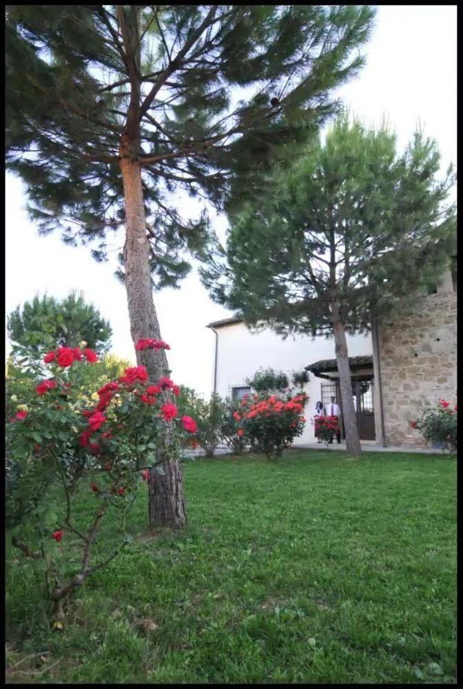 Agriturismo La Ginestrella Civitella D'Arna Екстериор снимка