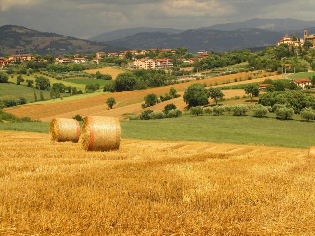 Agriturismo La Ginestrella Civitella D'Arna Екстериор снимка